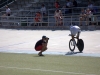 IMG_8100