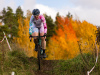 cx_olari_2024_129