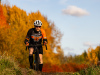cx_olari_2024_231