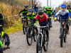 cx_olari_2025_004