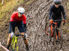 cx_olari_2025_134