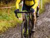 cx_olari_2025_204