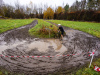 cx_olari_2025_216