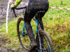 cx_olari_2025_221
