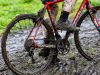 cx_olari_2025_239