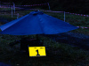 cx_olari_2025_409