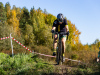 cx_olari_2026_005