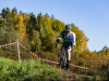 cx_olari_2026_006