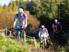 cx_olari_2026_007