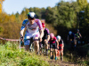 cx_olari_2026_008
