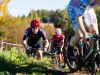 cx_olari_2026_009