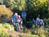 cx_olari_2026_016