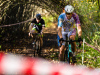 cx_olari_2026_047