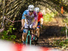 cx_olari_2026_056