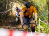 cx_olari_2026_059