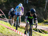 cx_olari_2026_078