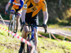 cx_olari_2026_082