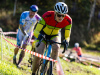 cx_olari_2026_088