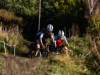 cx_olari_2026_109