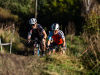 cx_olari_2026_110