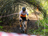 cx_olari_2026_128