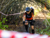 cx_olari_2026_134