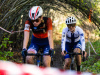 cx_olari_2026_140