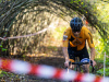 cx_olari_2026_225