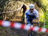cx_olari_2026_226