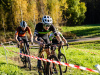 cx_olari_2026_230