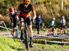 cx_olari_2026_238