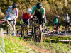 cx_olari_2026_252